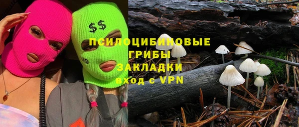 дурь Алексин