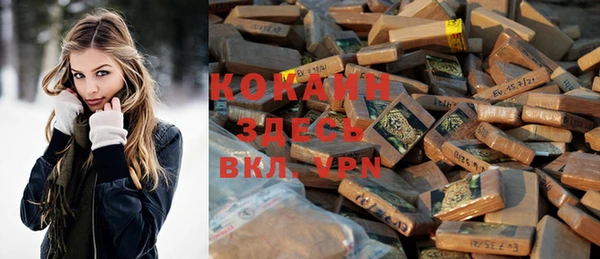 дурь Алексин