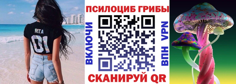 Галлюциногенные грибы Cubensis  где продают наркотики  Дегтярск 